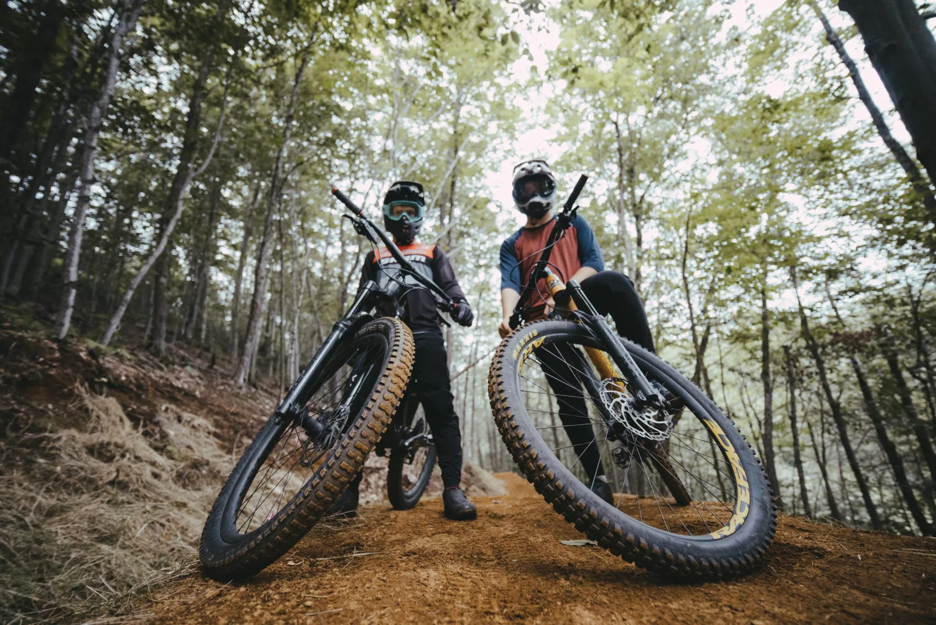 vélo de montagne, deux hommes, arbres, sentiers
