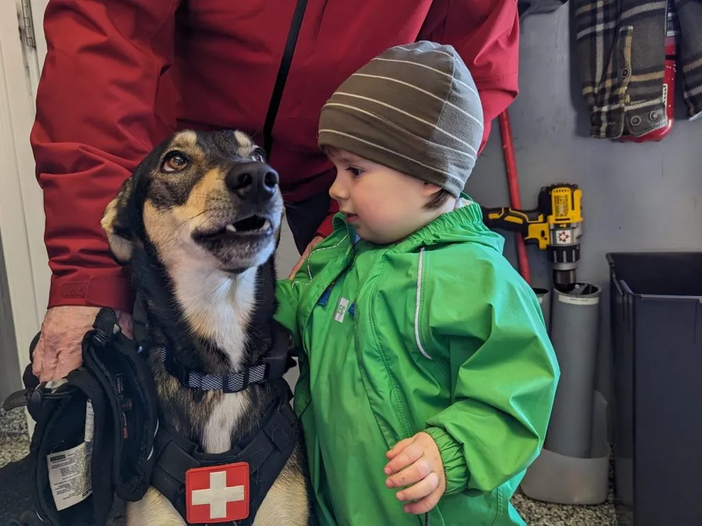 UN enfant caresse un chien