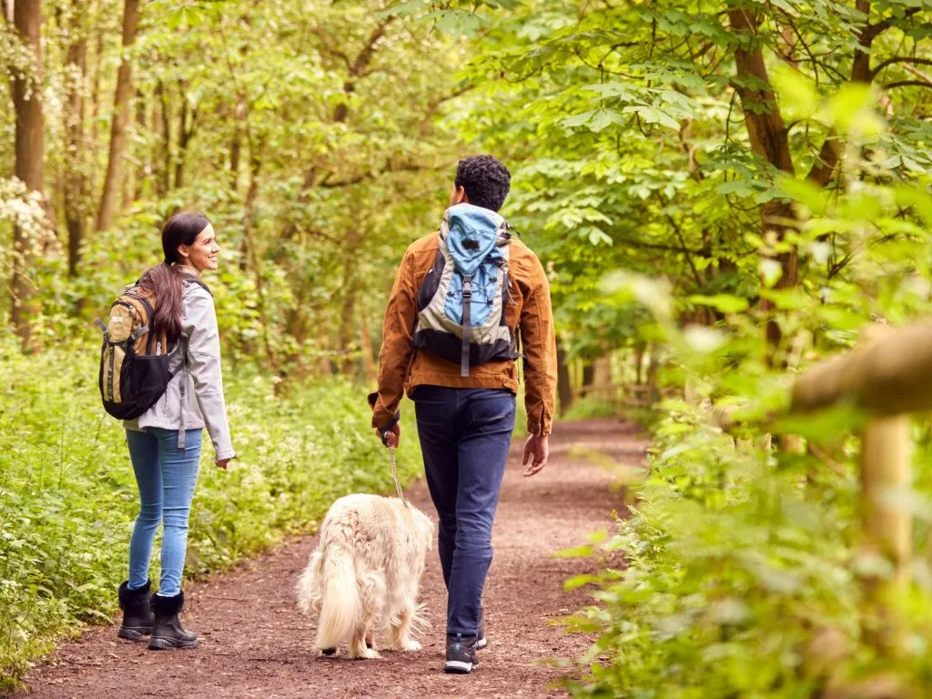 10 endroits où se balader gratuitement avec son chien en Outaouais