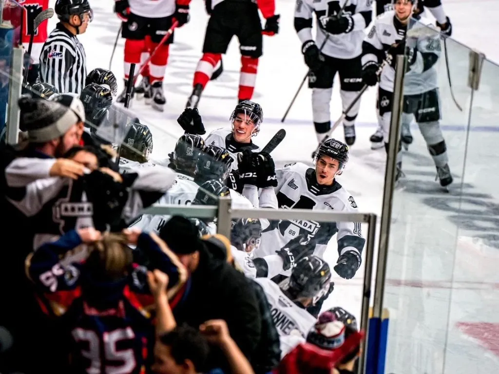 Des joueurs de hockey de l'Armada et une partie de la foule